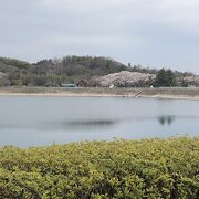 桜は花盛り