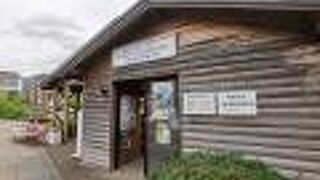 観光情報が入手できます