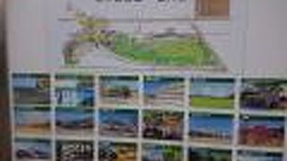 公園からもイルカが見えました