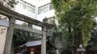 緑豊かな静かな境内に癒される。