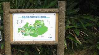 自然豊なとてもいい公園
