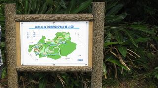 沖縄県県民の森