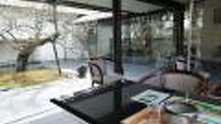 中庭がおっしゃれ～