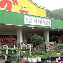 入り口付近の園芸用品売り場