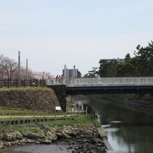 ハープ橋を渡ればまつばら綾瀬川公園の桜並木