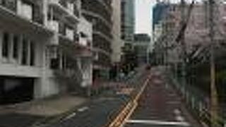 緩やかな桜が咲く坂