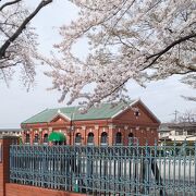 桜の時期に