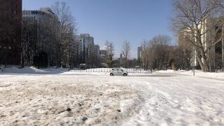 雪まつりのメイン会場