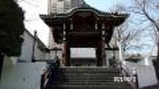 善福寺の中門です。