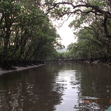 行った時間帯は先は干潮で行き止まり見たいです。