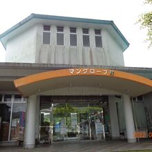 建物には「マングローブ館」と表示されてました。