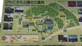 とてもよく手入れされた日本庭園でのんびりと