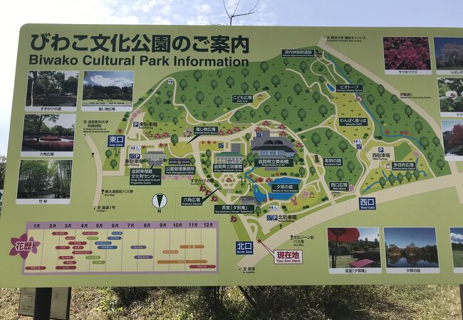 とてもよく手入れされた日本庭園でのんびりと
