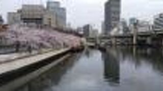 南側にある桜並木がキレイでした