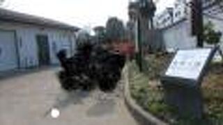 高台にある公園