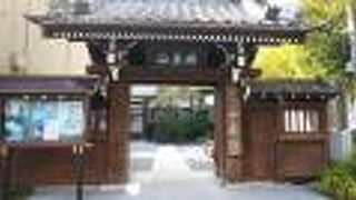 木造の山門が味わい深い