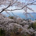 正福寺山公園