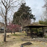 小説「赤蛙」にちなんで整備された公園