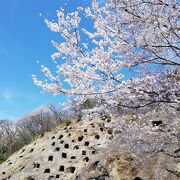 吉見百穴　古代の横穴墓