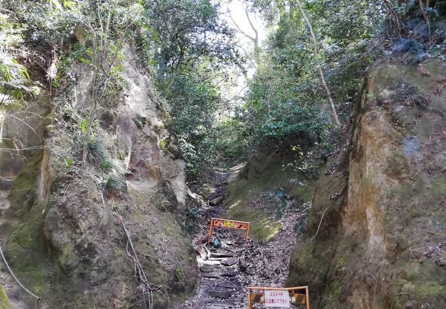 国指定史跡「比企城館跡群 松山城跡」