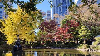 イベントなども