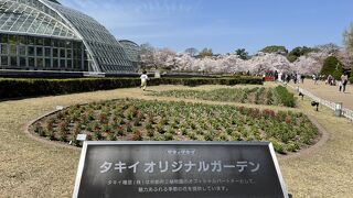 花の咲き乱れる植物園
