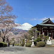 2022.4.5 富士山と桜のコラボが仏舎利塔の醍醐味