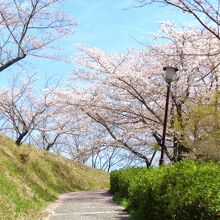 西側駐車場から上っていくあたりの風景