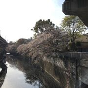 桜の時期に