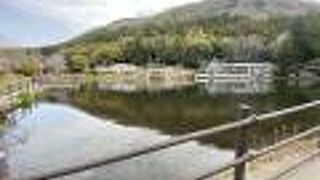 レストラン 洋灯舎