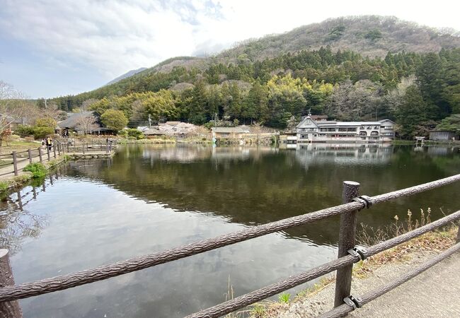 湖のほとりに