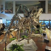 ブエノスアイレスの自然科学博物館。恐竜の骨格標本が展示の中心です
