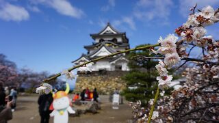 琵琶湖が綺麗に見えます