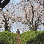 3月末、近くの大神塚の桜がきれい