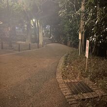 夜の散歩