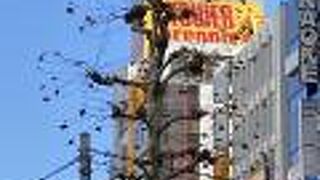 新譜探しならやっぱりここ