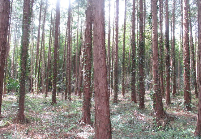 小鷹神社