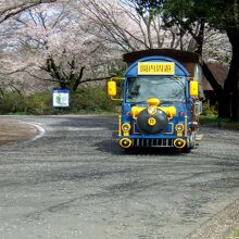 舗装された一周道路にはトレインが主に左回りで走る