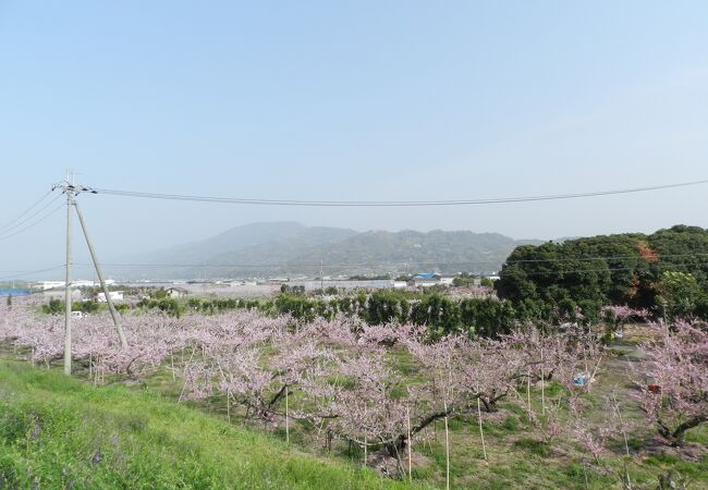 桃源郷 クチコミ アクセス 営業時間 岩出 紀の川 フォートラベル