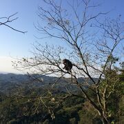 太平山国家森林遊楽区