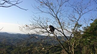 太平山国家森林遊楽区