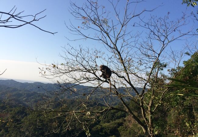 太平山国家森林遊楽区