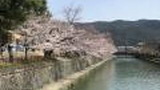 平安神宮の南側に広がる大きな公園