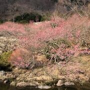 イベントが行われていました