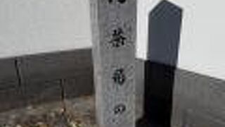 徳川家康の側室