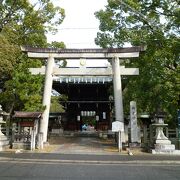 神社の外堀に咲く「いちはつ」