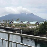 桜島から見る鹿児島の景色が良かった