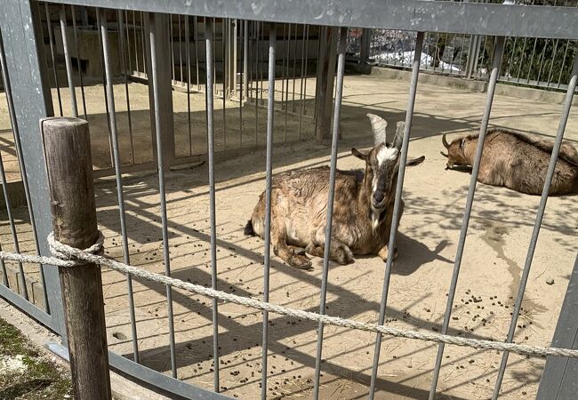 打吹公園小動物園