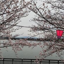 水と空と山、桜越しに・・・