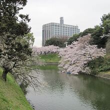 やっぱり美しい。